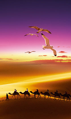 企業(yè)文化 企業(yè)文化